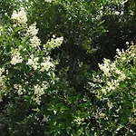 Konukevi Quinta Da Telheira Alfoloes
