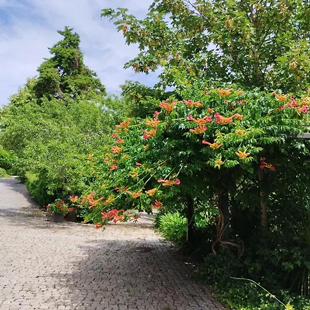 Pensión Quinta Da Telheira Vila Real
