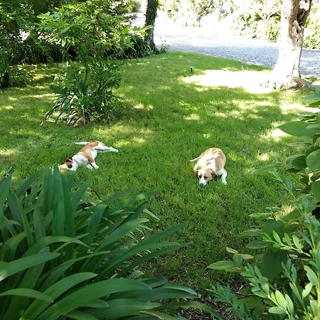 Pensionat Quinta Da Telheira