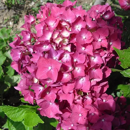 Pensionat Quinta Da Telheira