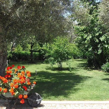 Pensionat Quinta Da Telheira Alfoloes