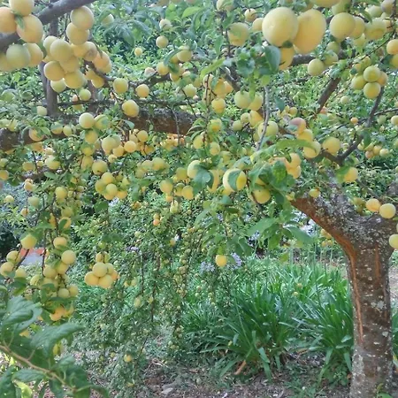 Quinta Da Telheira 3*