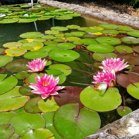 Quinta Da Telheira Pensionat