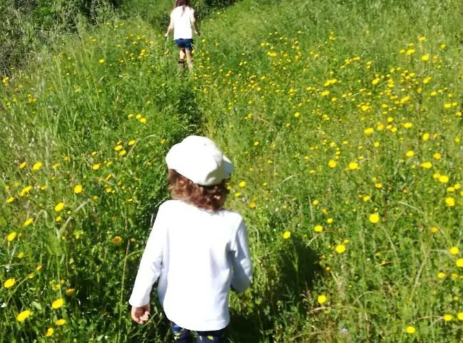 Quinta Da Telheira بيت ضيافة