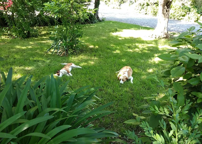 Pensión Quinta Da Telheira