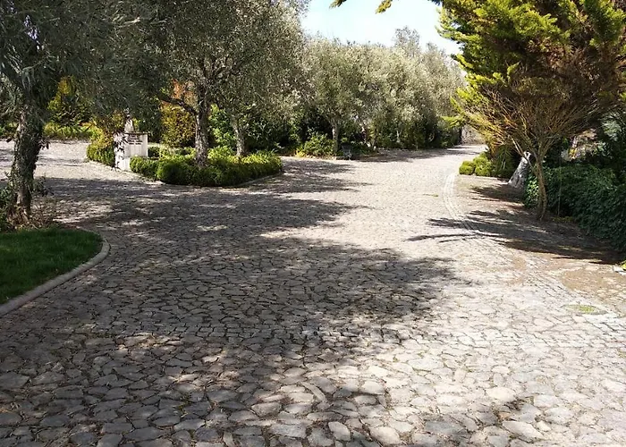 Quinta Da Telheira Casa de hóspedes Alfoloes