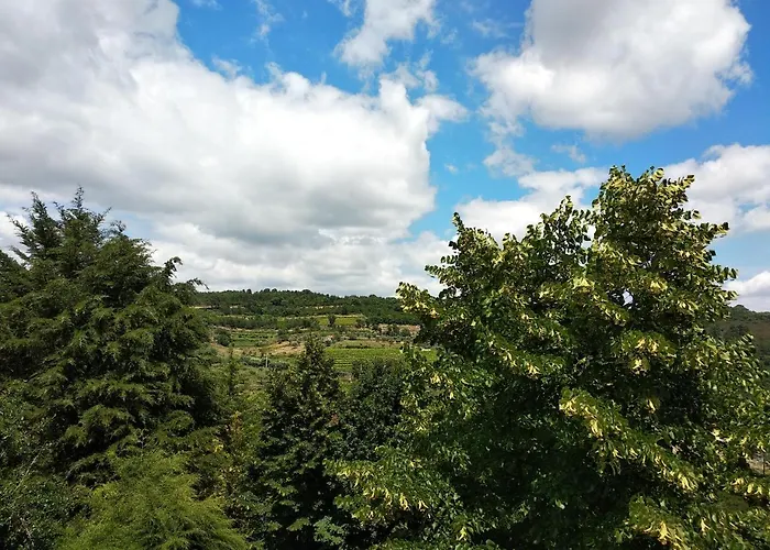 Pensionat Quinta Da Telheira 4*