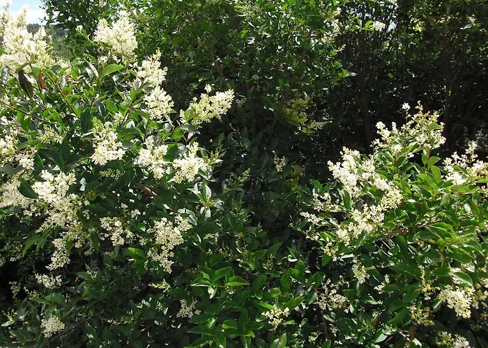 Πανσιόν Quinta Da Telheira Alfoloes