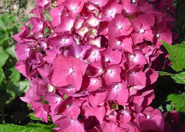 Pensión Quinta Da Telheira