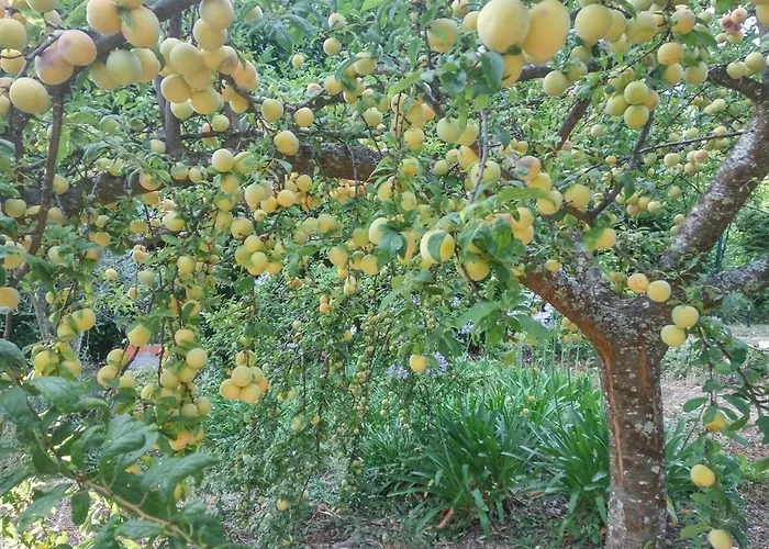 Quinta Da Telheira 4*