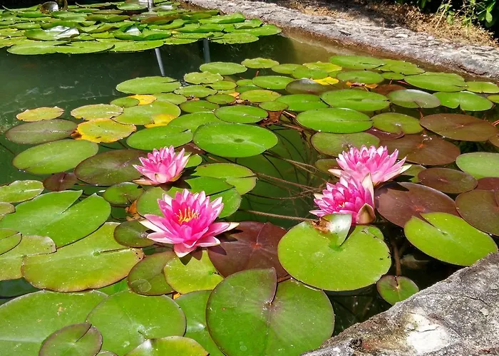 Quinta Da Telheira Pensionat