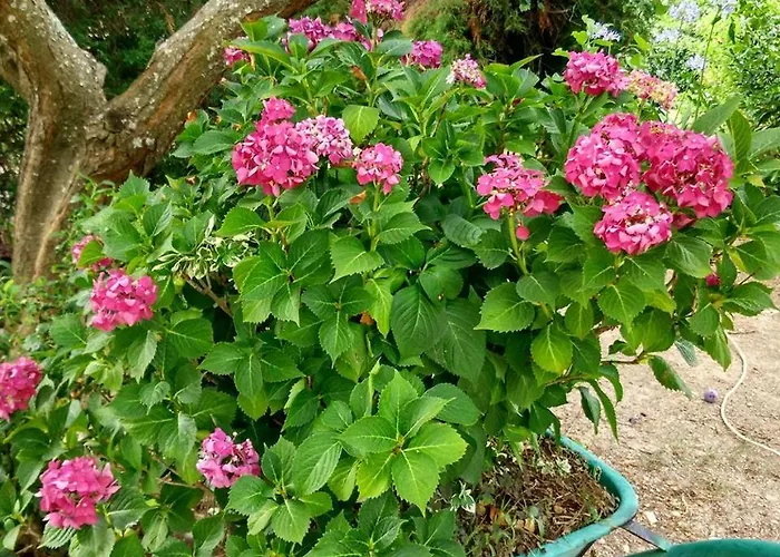 Pensión Quinta Da Telheira Alfoloes